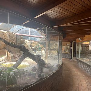 View in Reptile Hall