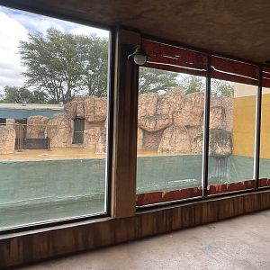 outh American and South African Fur Seal Exhibit (Arctocephalus pusillus, Arctocephalus australis)