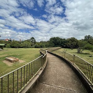 Red Forest Buffalo (right) and Arabian Oryx (left) Exhibits (Syncerus caffer nanus, Oryx leucoryx)