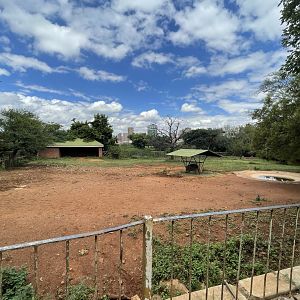 Burchell's Zebra Enclosure (Equus burchelli)