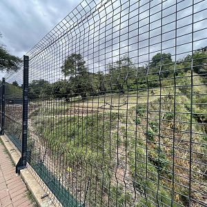 Tiger Exhibit (Panthera tigris)