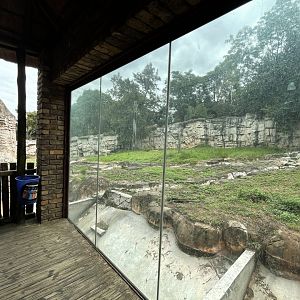 Former Kodiak Bear Exhibit (Ursus arctos middendorffi)