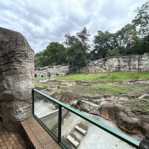 Former Kodiak Bear Exhibit (Ursus arctos middendorffi)