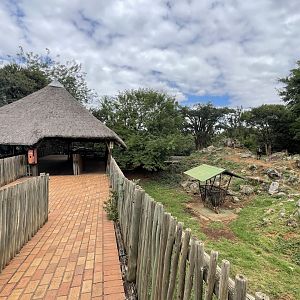 Former Sichuan Takin Exhibit (Budorcas taxicolor tibetana)  Now Sable Antelope (Hipotraggus niger)