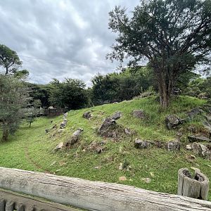 Former Sichuan Takin Exhibit (Budorcas taxicolor tibetana)  Now Sable Antelope (Hipotraggus niger)