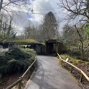 Former Brookside Aviary 240222