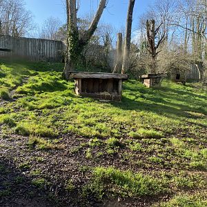 South African cheetah enclosure 240222