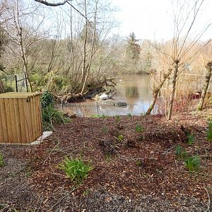 Dalmatian pelican and waterfowl enclosure 240222