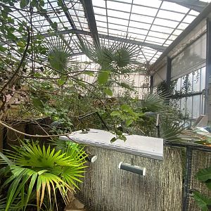 Crocodile Swamp 240222