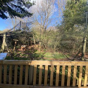 Monkey Heights - Squirrel monkey and Azara's agouti exhibit 240222