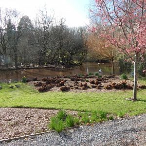 View towards Gibbon Island 240222