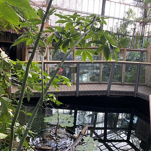 Crocodile Swamp 240222