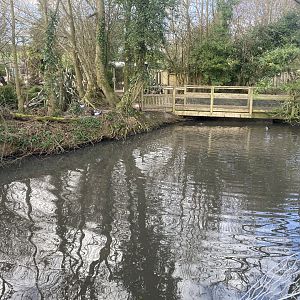 Waterfowl area 250222