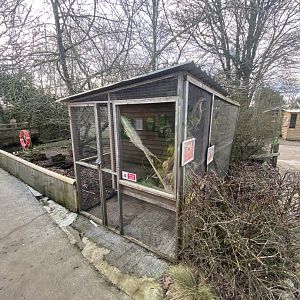 Eurasian harvest mouse exhibit and Swinhoe's striped squirrel exhibit 250222