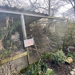 Swinhoe's striped squirrel exhibit 250222