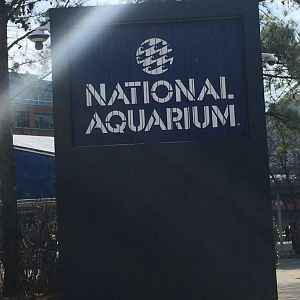 Aquarium Entrance Sign