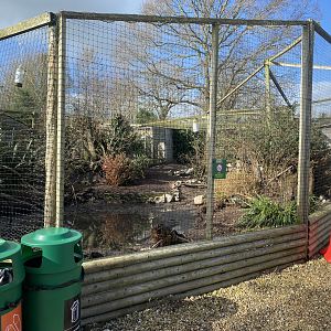 Large mixed aviary 250222