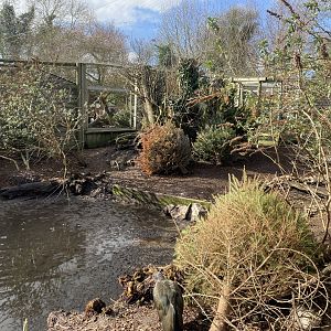 Large mixed aviary 250222