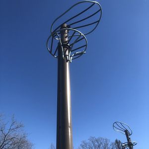 Sumatran Orangutan O-line pole