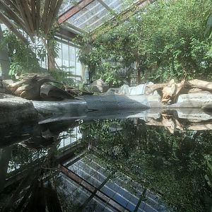 Fly River Turtle Pool - Beach Extension