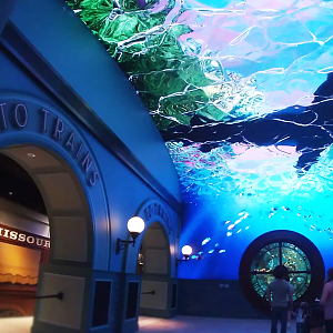 Grand Plaza + African Cichlid Tank - Mar. 2022