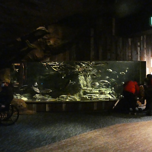 Mississippi River Tank, Confluence Gallery - Mar. 2022