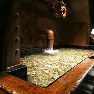 Dr. Fish Touch Tank, Global Rivers - Mar. 2022