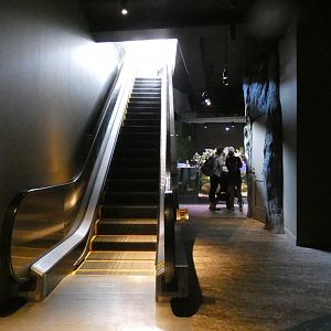 Escalator to Upstairs - Mar. 2022