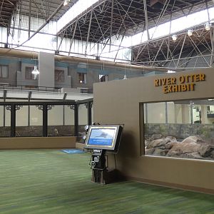 North American River Otter Exhibit, Changing Rivers - Mar. 2022