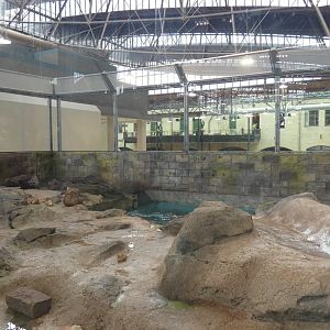 North American River Otter Exhibit, Changing Rivers - Mar. 2022