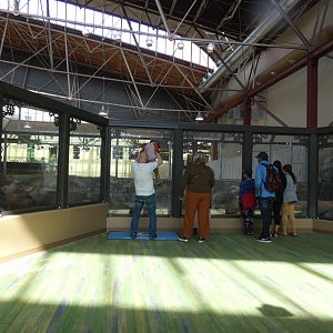 North American River Otter Exhibit, Changing Rivers - Mar. 2022