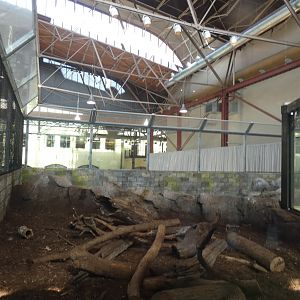 North American River Otter Exhibit, Changing Rivers - Mar. 2022