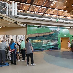 Animal Encounters Area - Mar. 2022