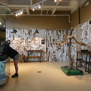 Animal Encounters Area - Mar. 2022