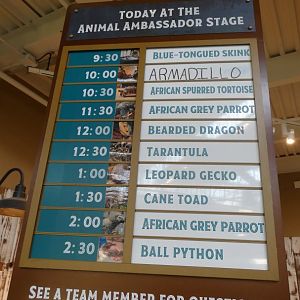 Animal Encounters Daily Schedule Sign - Mar. 2022