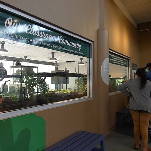 Animal Ambassador Exhibits - Mar. 2022