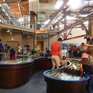 Stream Water Table, Changing Rivers - Mar. 2022