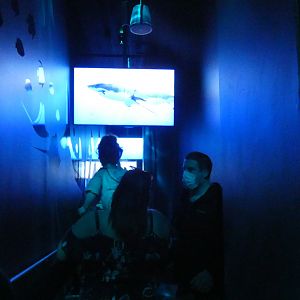 Hallway to Shark Canyon - Mar. 2022