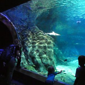 First Viewing Window, Shark Canyon - Mar. 2022