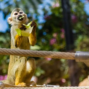 Wildlife Explorers Basecamp