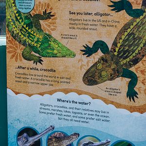 Wildlife Explorers Basecamp