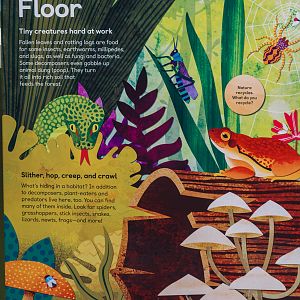 Wildlife Explorers Basecamp