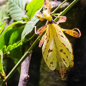 Wildlife Explorers Basecamp