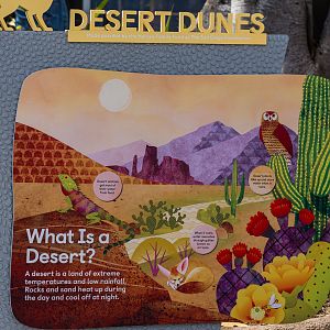 Wildlife Explorers Basecamp