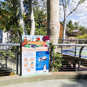 Wildlife Explorers Basecamp