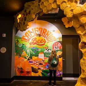 Wildlife Explorers Basecamp