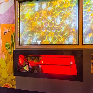 Wildlife Explorers Basecamp