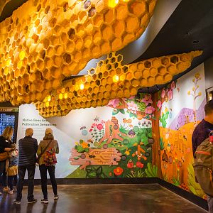 Wildlife Explorers Basecamp