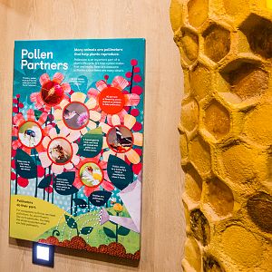 Wildlife Explorers Basecamp