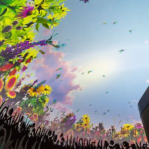 Wildlife Explorers Basecamp